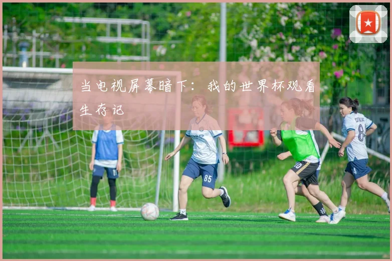 当电视屏幕暗下：我的世界杯观看生存记