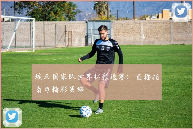 埃及国家队世界杯预选赛：直播指南与精彩集锦