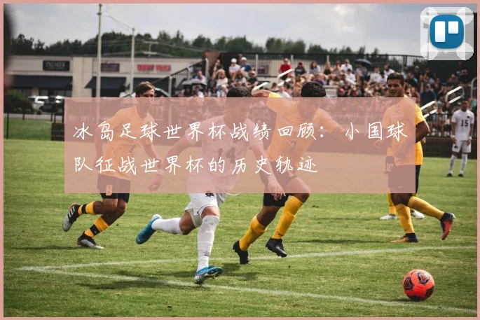 冰岛足球世界杯战绩回顾：小国球队征战世界杯的历史轨迹